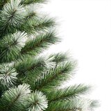 vidaXL Umjetna jelka s pantenom i pahuljicama Zelena i bijela 150 cm | shoptok.hr
