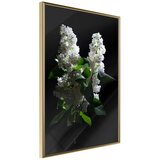  Poster - White Lilac 20x30 Cijene