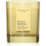 Sunlit Mimosa dišeča sveča 200 g