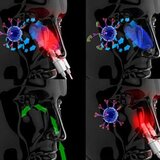 Olimp Sport Aparat protiv alergije i polenske kijavice Photonose SCB03 | ePonuda.com