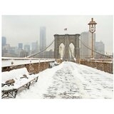  Tapeta - Snow-covered bridge in New York 300x231 | shoptok.hr