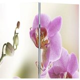 Furnova Zložljiv paravan 217x170 cm cvetje, (21929714) | Shoptok.si