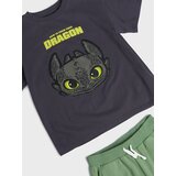 Sinsay Komplet od žerseja How to train your dragon | shoptok.hr