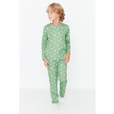 Trendyol Green Size Printed Knitted Boys Pajamas Set | Shoptok.si