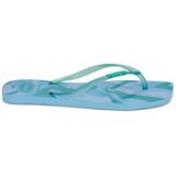 Havaianas Japonke SQUARE JELLY Modra | Shoptok.si