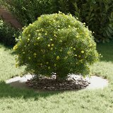  Pogodno za ravne drvene prstenove 5 pcs Bijelo Ø50 / 80 cm Čelik | shoptok.hr