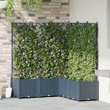vidaXL Vrtni sadilniki Sivi Polipropilen 120 x 120 x 143 cm Cene