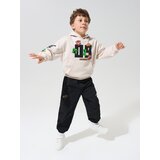 Sinsay Hoodie s tiskom Minecraft | shoptok.hr
