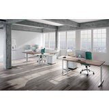 COLOMBINI Pisalna miza TK05-Portofino hrast Cene