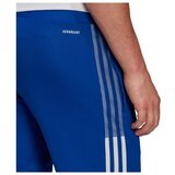 Adidas Hlače Tiro 21 Modra | Shoptok.si
