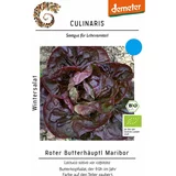 Culinaris Bio zimska solata Red Butterhäuptl Maribor