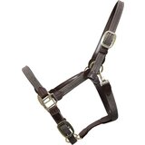 Kentucky Horsewear Pletena najlon oglavka, siva - WB/Full Cene