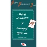 Jovan Jovanović Zmaj - Mali konjanik u pačijoj školi