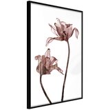 Poster - Flashback of Last Summer 30x45 Cijene