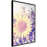  Poster - Facing the Sun 30x45 Cijene