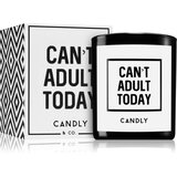 Candly & Co. Can't adult today dišeča sveča 250 g | Shoptok.si