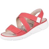 Ganter Halina Crvena | shoptok.hr