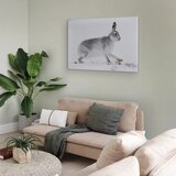  Slika - Hare (1 Part) Wide 30x20 Standard | shoptok.hr