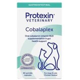  Cobalaplex 60 Kapsula Cene