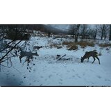 OXE Lovska kamera Tarantula WiFi 4K in zaščitna kovinska škatla + 32GB SD kartica, 8 baterij in stativ! | Shoptok.si