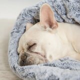 Play Sivi krevet za kućne ljubimce ø 45 cm Snuggle Bed 3in1 Husky Grey L – | shoptok.hr