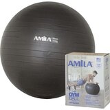 Amila Pilates lopta Cene
