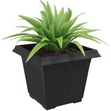  Kvadratna saksija za cvijeće 6 pcs Crna 43 x 43 x 33,5 cm | shoptok.hr