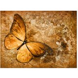  Tapeta - butterfly (sepia) 400x309 | shoptok.hr