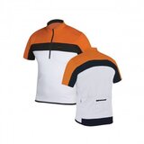 Capriolo 282810-WL