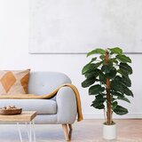 MID.YOU Umetna Rastlina Epipremnum | Shoptok.si