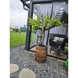  Sadilica za hrastovu bačvu (50L) | shoptok.hr