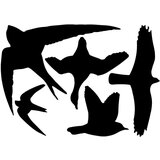 Esschert Design set crnih samoljepljivih naljepnica za prozor birds | shoptok.hr