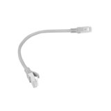 Lanberg Latiguillo Cat.6 UTP 0,25m gris, (20754593) | Shoptok.si