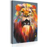  Slika - King of Colours 60x90 Cijene