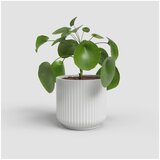 Artevasi Keramička tegla za cvijeće ø 15 cm Luna – | shoptok.hr