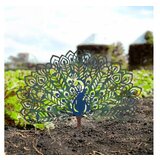 WALLXPERT decorative object figura peacock | ePonuda.com