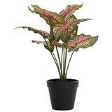 Light & Living Umjetna biljka (visina 40 cm) Caladium – Cijene