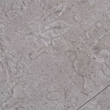 vidaXL Samoljepljive podne obloge PVC 5 21 m² 2 mm zemljano sive | shoptok.hr