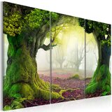  Slika - Mysterious forest - triptych 60x40 Cijene