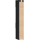 Ormarić za pohranu 2 pcs Crni hrast 30 x 42,5 x 225 cm | shoptok.hr