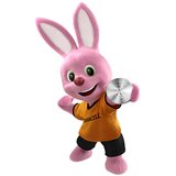  Duracell CR2016 1/ 5 3V litijumska baterija Cene