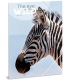 Ars Una Mapa z gumo A4 : Máté Bence The Eyes of the Wild - Zebra | Shoptok.si