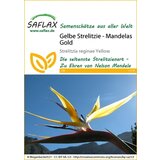  Rumena strelicija - Mandelino zlato Cene