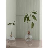 Blomus Steklena ročno izdelana vaza (višina 9 cm) Avo – | Shoptok.si
