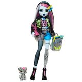 Mattel Igračka lutka Monster High Frankie Stein sa dodacima 43110614 | Eponuda.ba