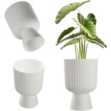 KADAX Cvetlični lonec za trato, plastični pokrov 14 cm, stojalo za rože, bela, (5000346079) | Shoptok.si