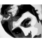  Ručno slikane slike na platnu na platnu POP Art Paul Weller 4-dijelna () | shoptok.hr