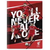NEBULO Liverpool kartonska mapa z gumico A4, različne, 1 kos | Shoptok.si