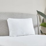 Catherine Lansfield Polnilo za blazino 48x74 cm Luxury Box – | Shoptok.si