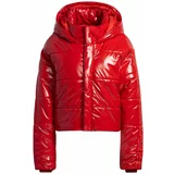 Adidas Zimska jakna 'IVP' rdeča